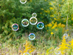 outside blowing bubbles in nature