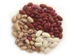 beans in bulk