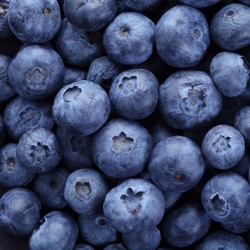 Organic Blueberries