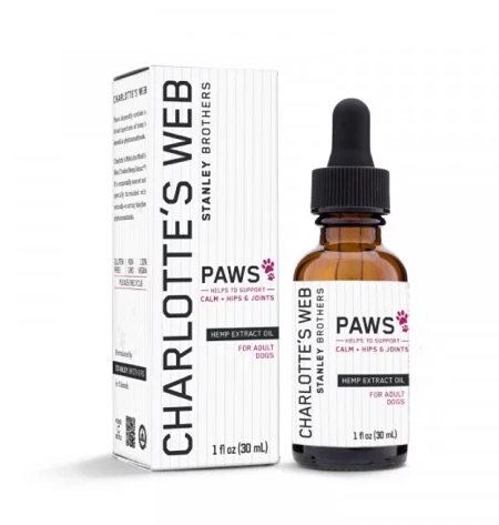 cbd for dogs