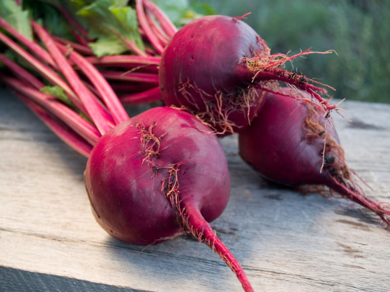 Garden beets with deep red coloring