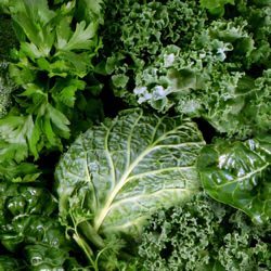 greens for vitamin k intake for kidney health