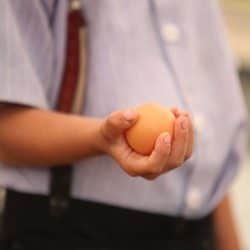 brown egg in farmers hand