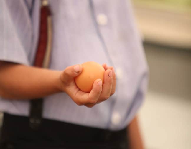 farmer holding an egg on farm for egg day