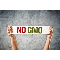 person holding up sign that says no gmo