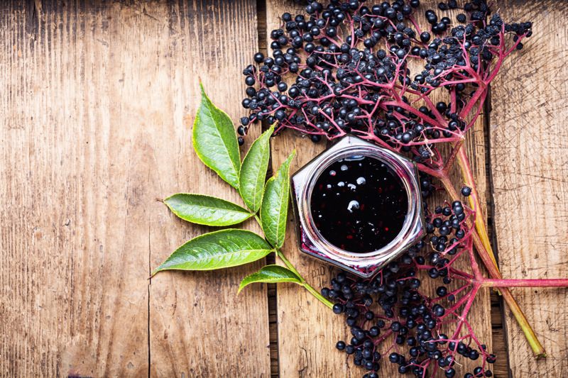 elderberries for immune system health