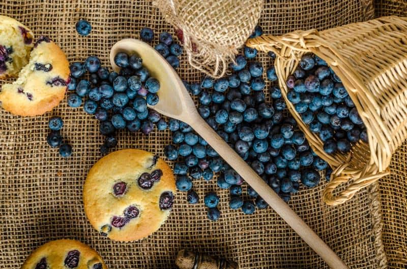 Fresh blueberries and muffins