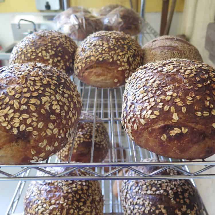 Fresh baked oat sandwich bread from local bakery
