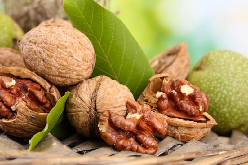 different stages of walnuts for national walnut day