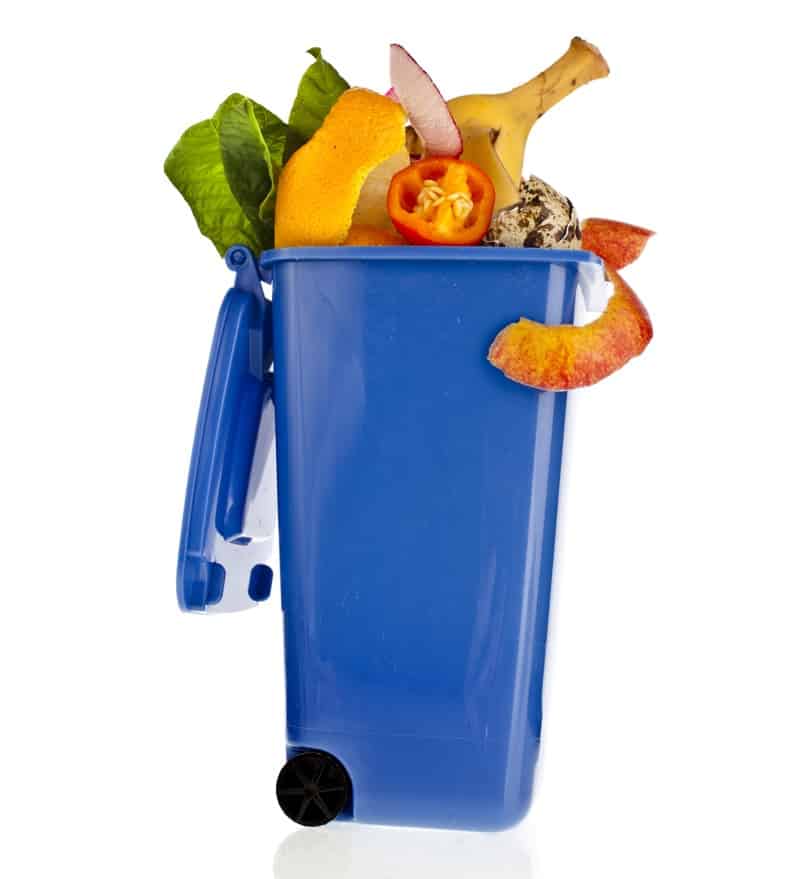 Stopping Food Waste