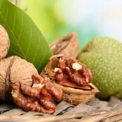 walnuts with green leaves in garden, on green background