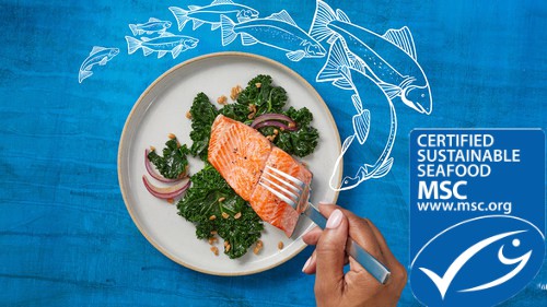 MSC.org sustainable salmon, tuna, seafood