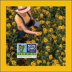 nongmo project verified for good food month