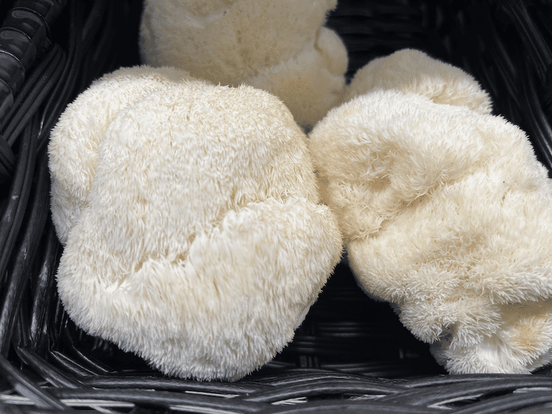 Fresh Lion's Mane Mushroom in a basket at Martindale's Natural Market