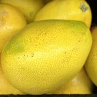 Organic Pumellos, high in Vitamin C, in display in the Martindale's produce section