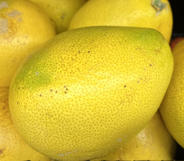 Organic Pumellos, high in Vitamin C, in display in the Martindale's produce section