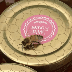 A honeybee rests atop a jar of jardine local raw honey