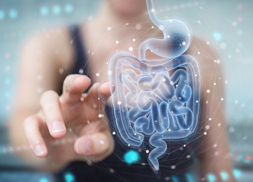 Gut health is dependent on pre, pro, and postbiotics