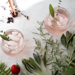 Healthy mocktails surrounded by botanical ingredients