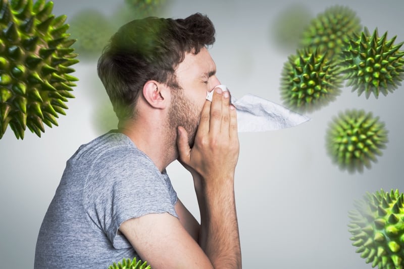 foods that fight seasonal allergies can help alleviate symptoms