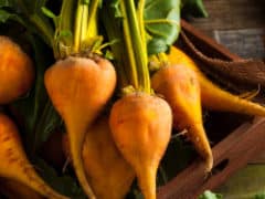 golden beets