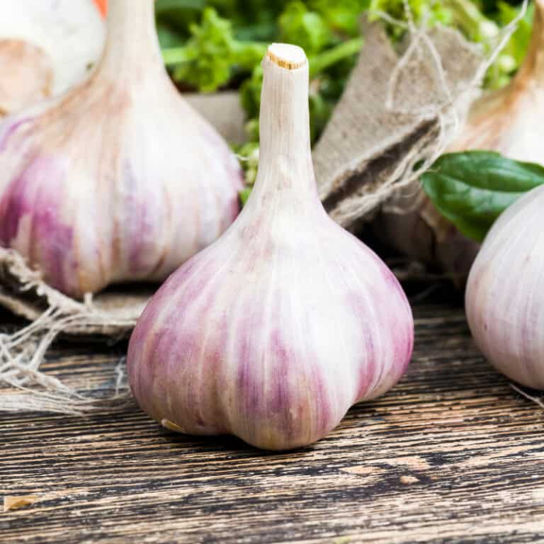 Improve Your Liver Health with Garlic • Martindale’s Natural Market