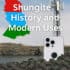 Shungite History and Modern Uses