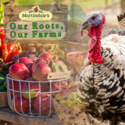 Robin Hill Organics farm