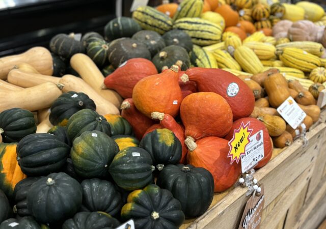 martindales natural market organic squash