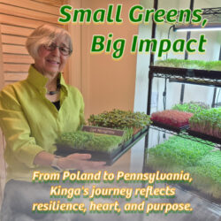 Local organic microgreens